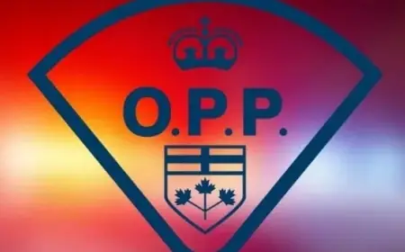 Westbound 401 Closure Disrupts Traffic Between Belleville and Quinte West