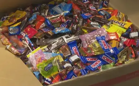Arsenic Discovered in 28 of 46 Candy Products, Florida Reports