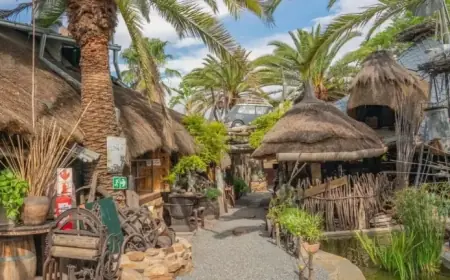 German Pop Star Escapes Cold, Discovers Unexpected Beer Garden