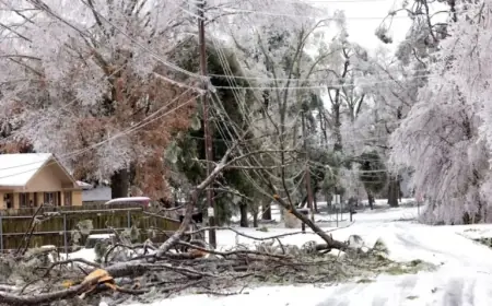 Entergy Louisiana Reveals Restoration Timeline After Winter Storm