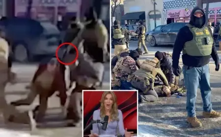 Megyn Kelly Criticizes Alex Pretti: Labels Him ‘Subversive’