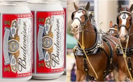 Budweiser Unveils Incredible Super Bowl Ad: Watch Now