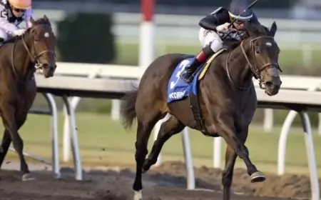 Graded Winner Stormcast Joins Fasig-Tipton Winter Mixed Sale Listings