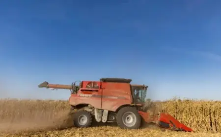 Trump Touts Economy in Iowa, Residents Express Struggles