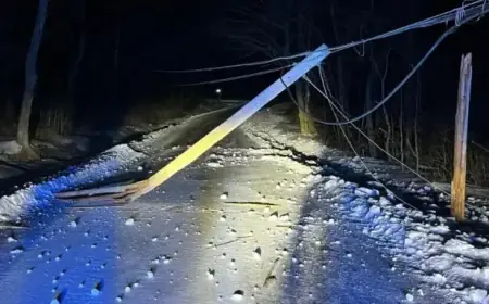 Driver Hits Utility Pole, Blocking Road in Icy Hit-and-Run Incident