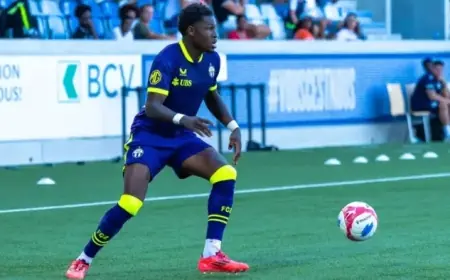 Dutch Forward Surprises with Transfer to Championship Leaders Coventry