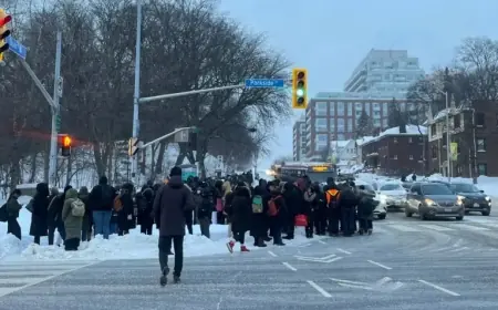 Trespassers Cause TTC Delays, Police Report
