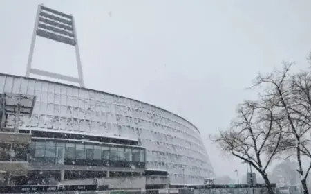 Werder vs. Hoffenheim Match Decision Made Amid Cancellation Concerns