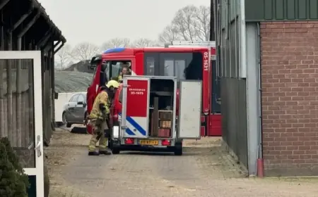 Firefighters Rescue Cow from Well on Visschersdijk in Markelo