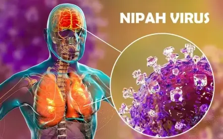 Nipah virus: India traces contacts in West Bengal as airport screening tightens across the region