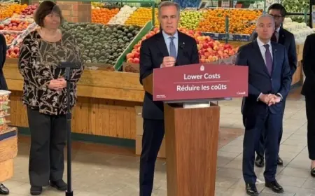 Canada groceries and essentials benefit: Ottawa proposes a new GST credit top-up and larger payments starting in 2026