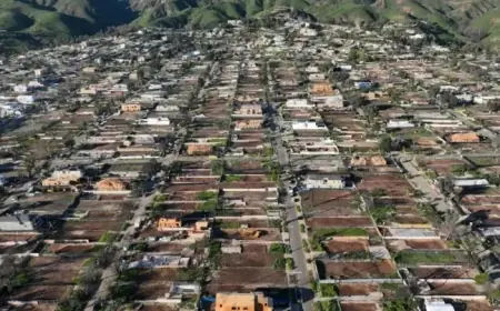 Trump Expedites Permits for Fire-Ravaged Homes in L.A. with Executive Order