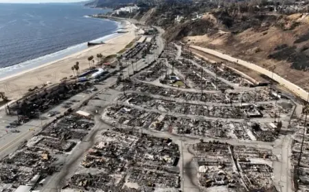 Trump Targets LA Wildfire Rebuilding; Newsom Identifies Funding as Key Challenge