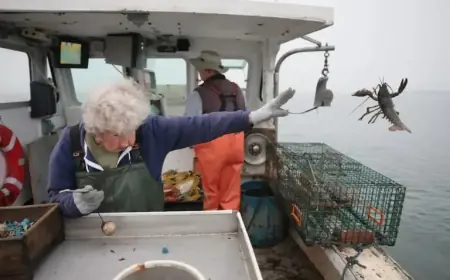 Maine’s Legendary ‘Lobster Lady’ Passes at 105, Beyond Local Icon