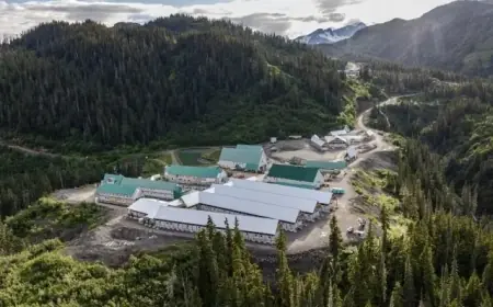 First Nation Leader Calls on B.C. to Uphold DRIPA Amid Eskay Creek Mine Deal