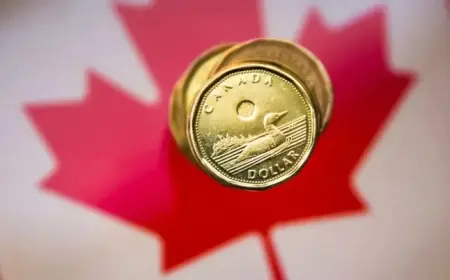Canadian Dollar Sees Biggest Weekly Gain Since May Amid U.S. Dollar Drop