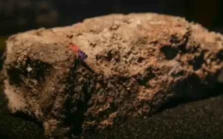 Sydney Faces Hefty Costs to Resolve Massive Fatberg Crisis