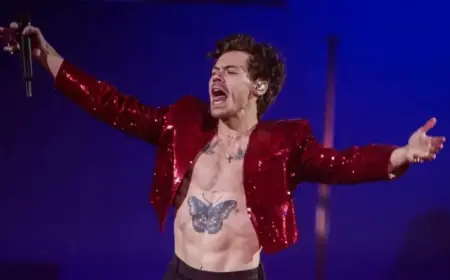 Harry Styles Fans Outraged by ‘Exorbitant’ Tour Ticket Prices