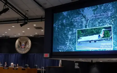 Systemic Failures Identified as Cause of Fatal DCA Crash by Federal Investigators