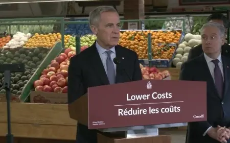 Canada Groceries and Essentials Benefit: New GST Credit Top-Up, Eligibility, and 2026 Payment Timeline