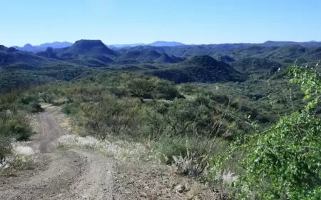 Arizona Shooting Leaves One Critically Injured Amidst Border Patrol Involvement