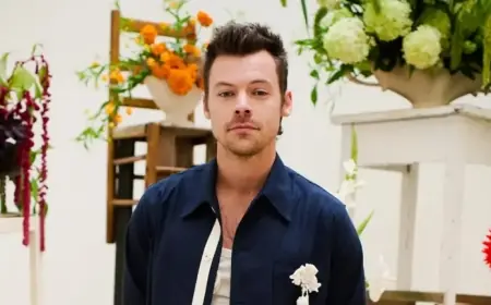 11.5 Million Register for Harry Styles’ Madison Square Garden Concerts