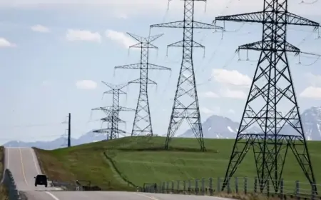 Nova Scotia Overtakes Alberta in Renewable Energy Agreements, Report Reveals