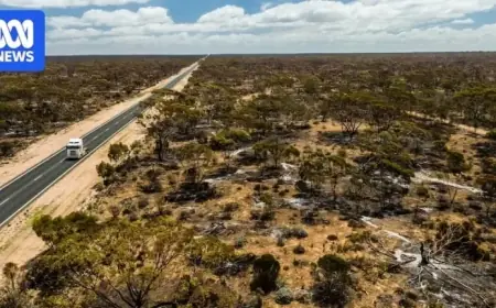 Fire Blocks Eyre Highway, Stranding Nullarbor Travellers