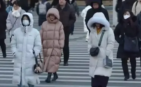 Seoul Faces Cold Wave Warning: Temperatures to Plunge to -10°C by Weekend