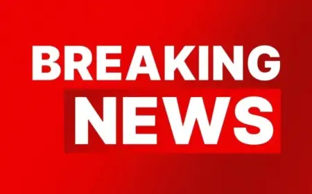 Firefighters Battle Bushfire Near Lexia Petrol Station, East Perth