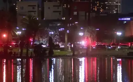 Park Rangers Halt Sonar Search for Bodies, Weapons in MacArthur Park Lake