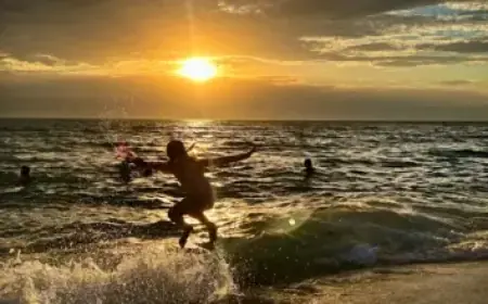 Novak Djokovic Advances to AO 2026 Semifinals as Musetti Withdraws