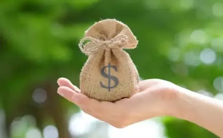 Top 3 ASX Dividend Stocks to Buy Now with $3,000