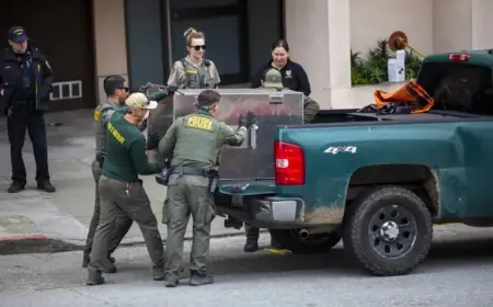 Tranquilized Mountain Lion Captured in San Francisco for Safe Relocation