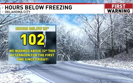 Freeze warning posted in parts of Florida as Jacksonville, Orlando, and Tampa turn chilly while Miami stays cool