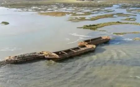 National Trust Transforms Barges Into New Bird Island Habitat