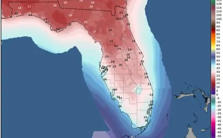 Weather Miami turns cooler as Florida braces for a breezy late-January dip