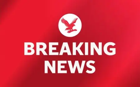 Former Spandau Ballet Singer Ross Wild Convicted of Rape