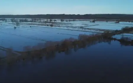 Storm Chandra Triggers Major Flooding Emergency in Somerset