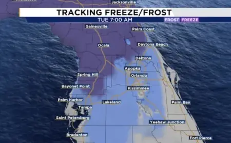 Disney World Issues Cold Weather Advisory