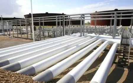 US Crude Oil Inventory Drop Drives Rising Oil Prices