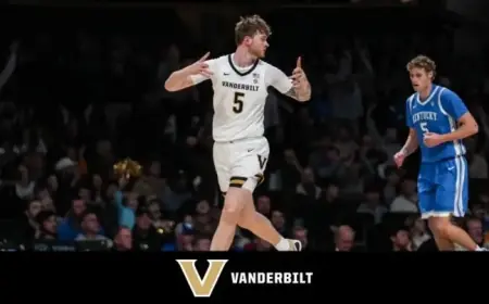 Cats Abandoned in Freezing Temperatures