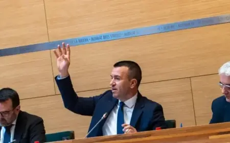 Valencia Approves Internal Protocol for Climate Emergency Response