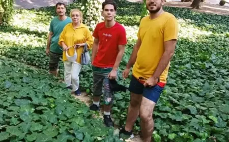 Iran’s Protest Crackdown: Five Stories of the Fallen