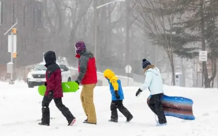 Snowstorm Transforms Arlington into a Winter Wonderland with Scenic Views