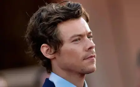 Fans Criticize High Ticket Prices for Harry Styles’ Together, Together Tour