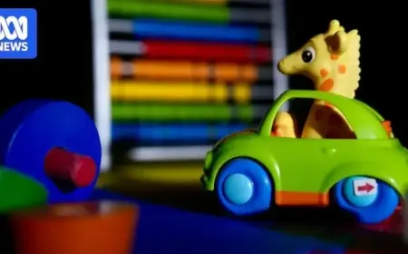 Concerns Arise Over Missing Childcare Records and Issue Scale