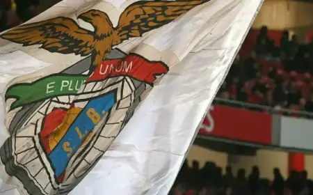 BNews Commits Fully to Achieving Victory