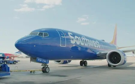 UK Airline Criticized for Misleading Baggage Claims