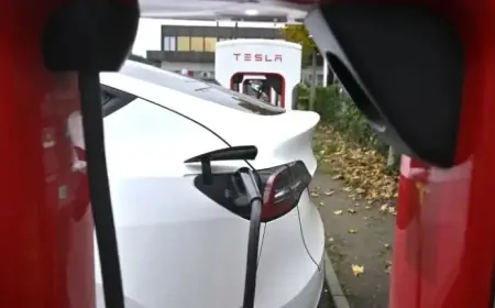 Tesla’s 2025 Revenue and Profit Decline Mark a Challenging Year